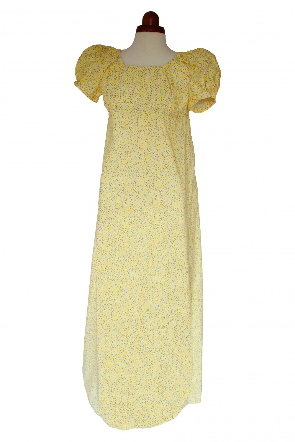Ladies 18th 19th Century Regency Jane Austen Day Costume Size 10 - 12 Image